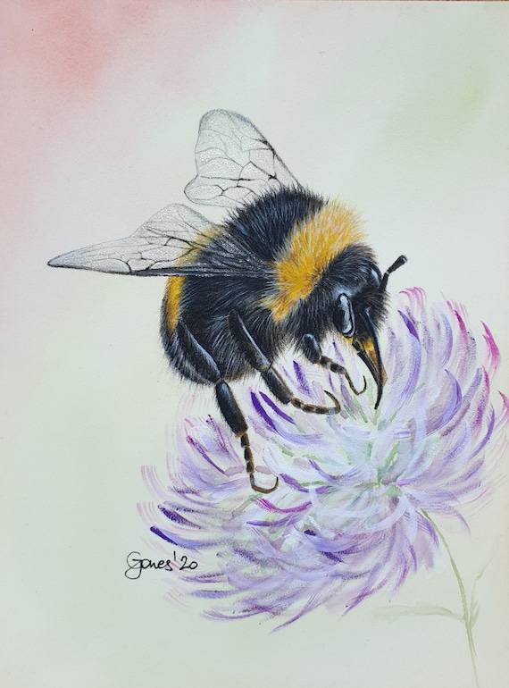 Aesthetic Bee Drawing