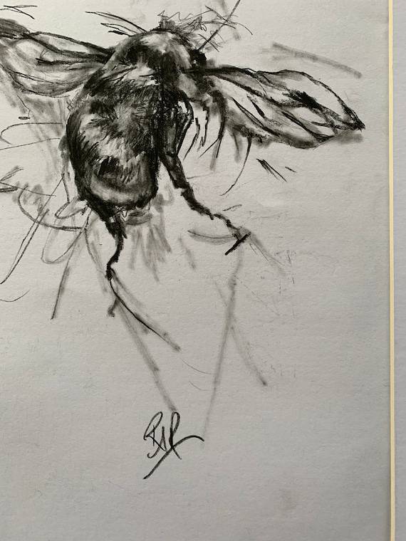 Animated Bee Drawing