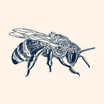 Bee Cute Drawing