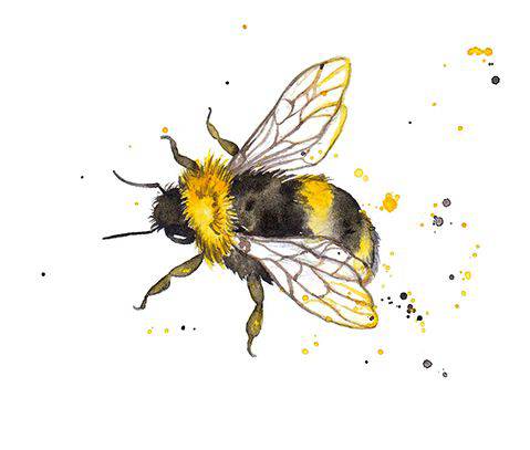 Bee Images For Drawing
