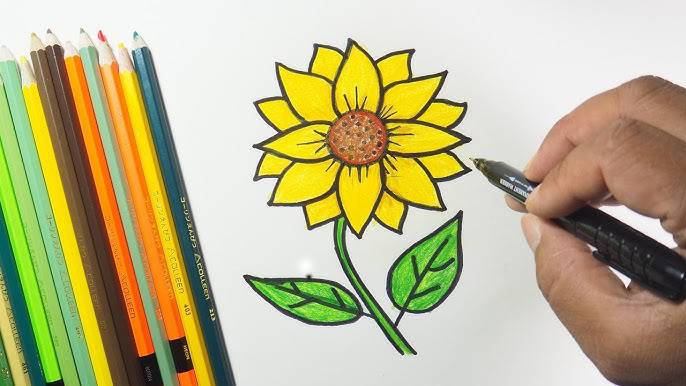 Big Sunflower Drawing