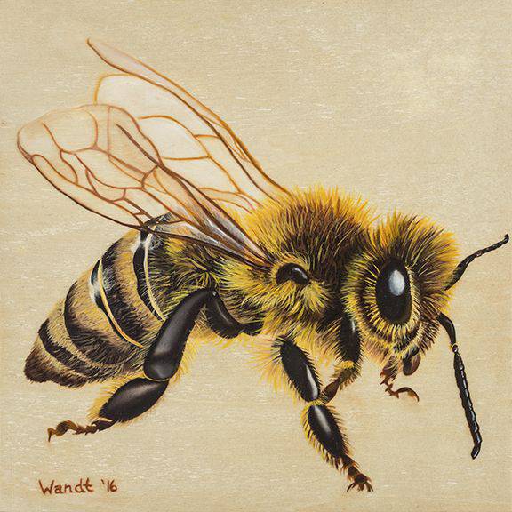 Blue Bee Drawing