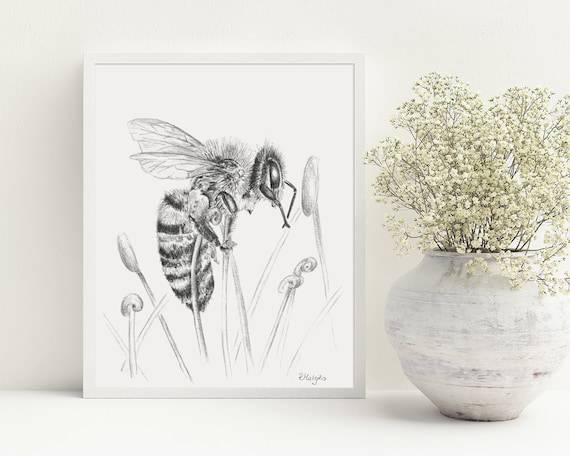 Bumblebee On Flower Drawing