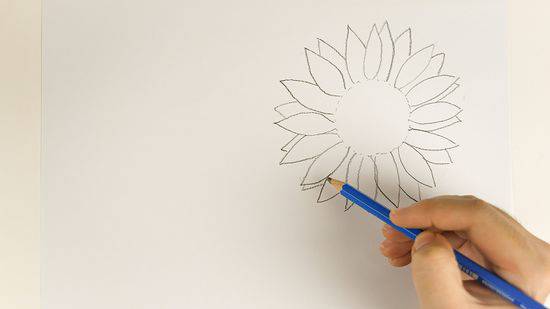 Cartoon Sunflower Drawing Easy