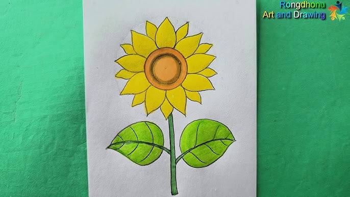 Closed Sunflower Drawing