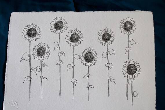 Corner Sunflower Drawing