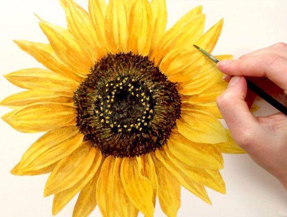 Draw And Colour A Sunflower