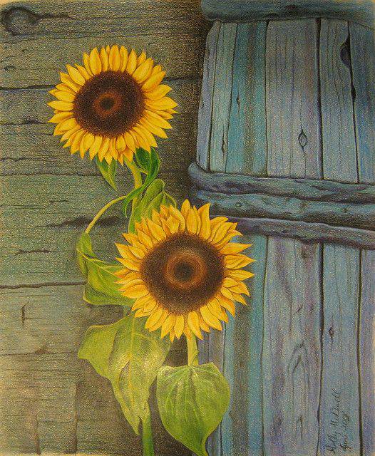 Drawing A Sunflower Step By Step