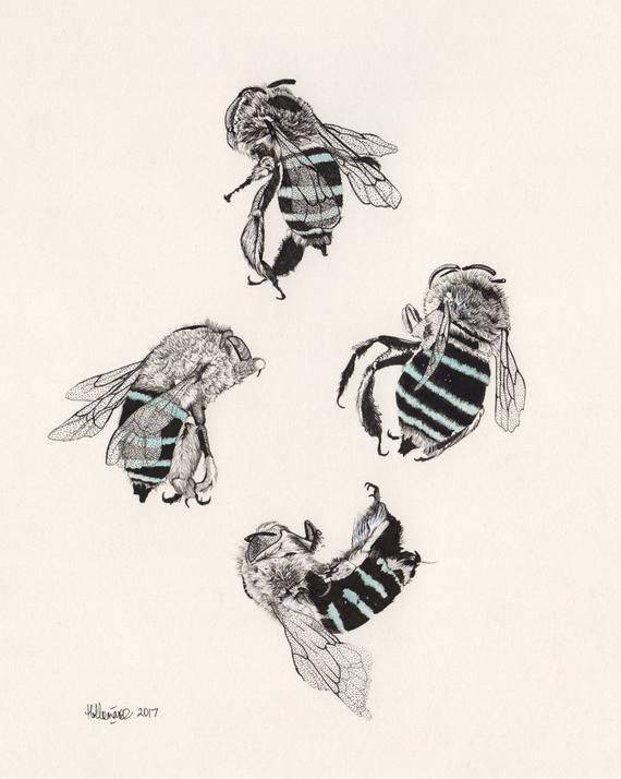 Drawing Of Honey Bee Easy