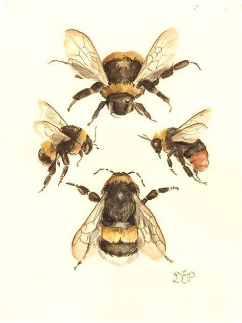Easy Bee Sketch