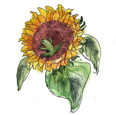 Easy Simple Sunflower Drawing