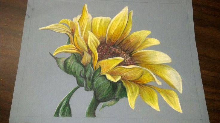 Flower Drawing Sunflower Drawing