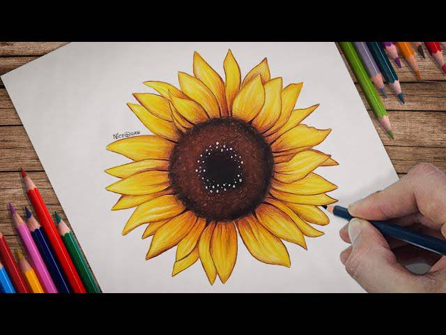 Heart Sunflower Drawing