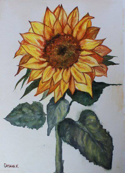 Pencil Sketch Of A Sunflower
