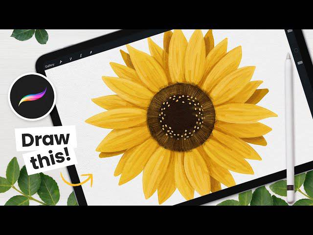 Realistic Sunflower Drawing