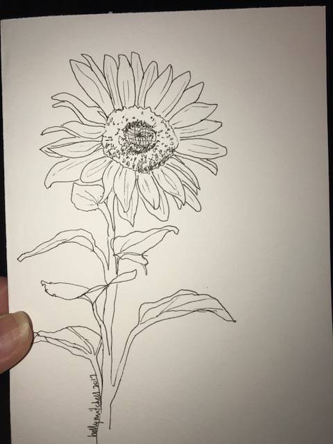 Sun With Flowers Drawing