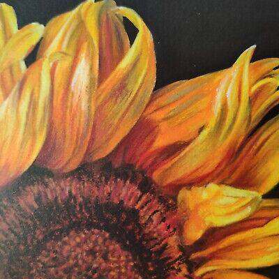 Sunflower Bouquet Sketch