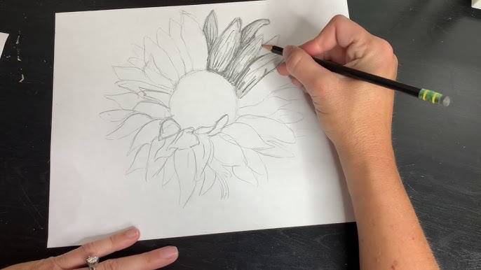 Sunflower Colored Pencil Art