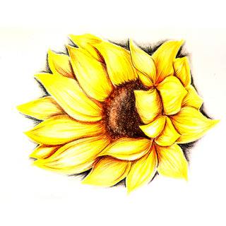 Sunflower Drawing Drawing