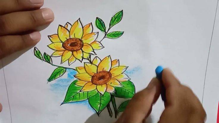 Sunflower Drawing On Canvas
