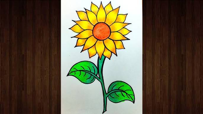 Sunflower Drawing Outline Simple